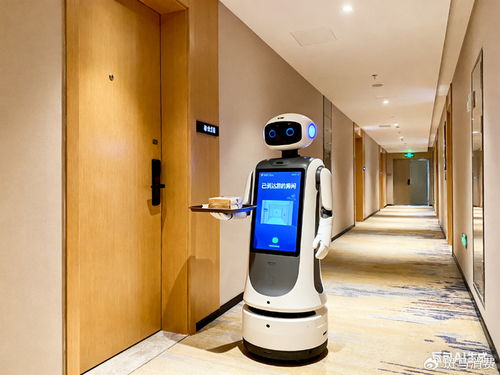 价格屠刀下的酒店机器人 从噱头到标配的血战之路